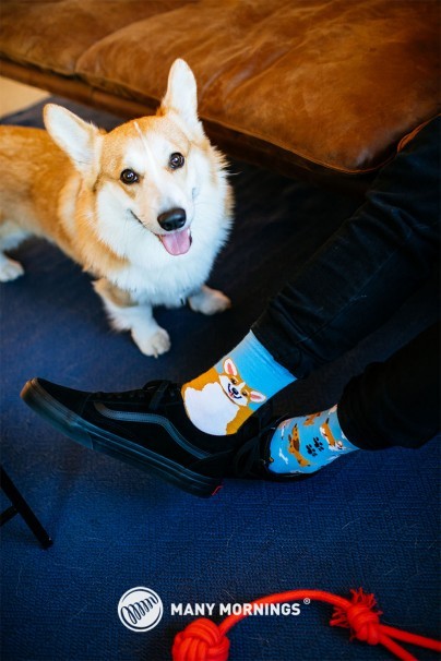 Farebné ponožky Playful Dog - Many Mornings-1