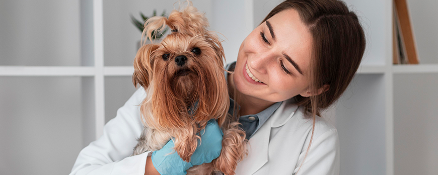 Čo sa nosí v modernej veterinárnej ordinácii?