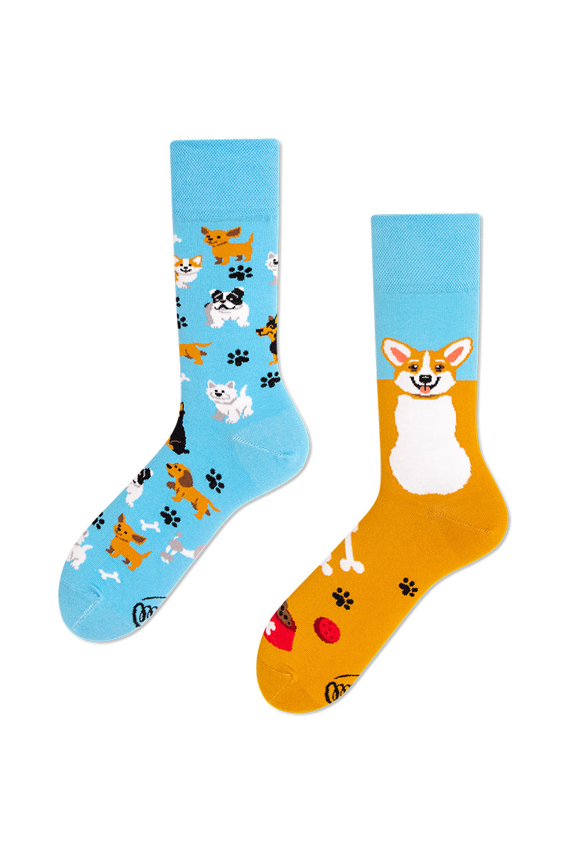 Farebné ponožky Playful Dog - Many Mornings