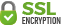 SSL Encryption Logo